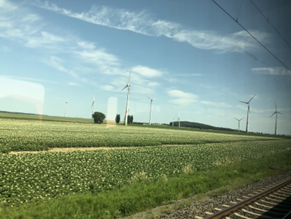 view_from_window